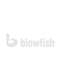 Design, Konzept und Programmierung der Webseite durch Blowfish AG